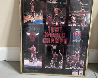Bulls poster