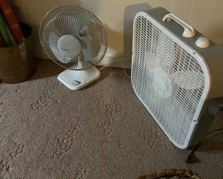 Fans