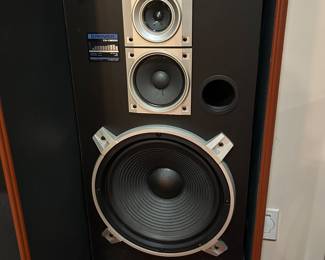 Pioneer speakers