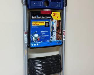 Folding ladder