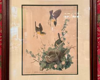 Framed bird print