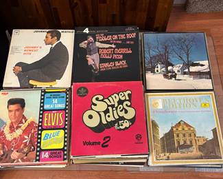 Vinyl Records (33)