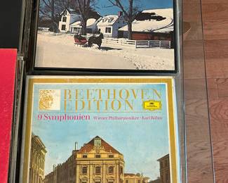 Vinyl Records (33)