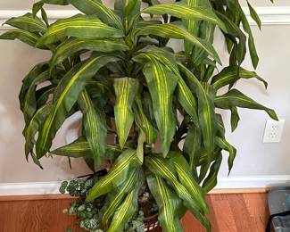 Indoor Plant Decor