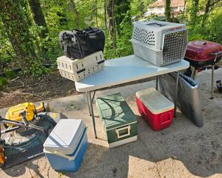 Coolers and pet carriers
