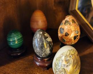 Egg Collection