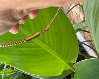 #175- $575.- 0.41ctw diamond clover bracelet 14kt gold 5.0gr-sz 8.5