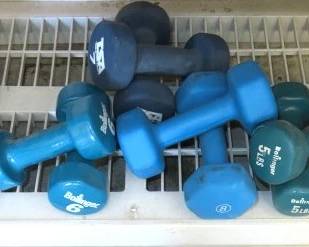 Exercise Hand Weights