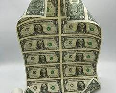 Uncut Sheet Roll of US 1 Dollar Bills - 16 bills - Series 1995