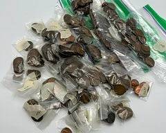 Grab Bag of Old Pennies - Around 4 lbs