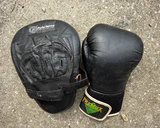 Boxing gloves