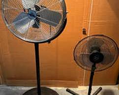073Im Your Biggest Fan