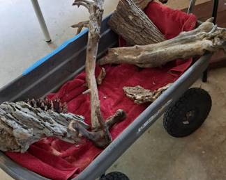 Driftwood