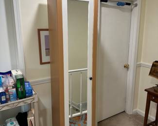 Cabinet Glass Front White and Pine
