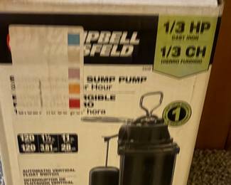 New Sump Pump 