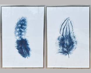 Pair Of Framed Blue Feather Art Prints