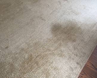 Large rug 