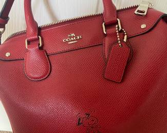 Coach Snoopy bag