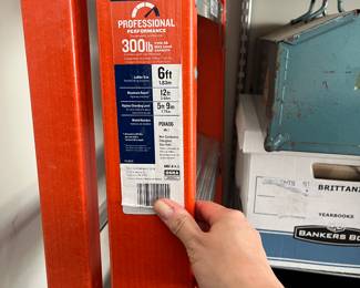 Werner 6ft ladder. $100