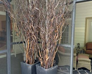 Curly Willow Decorative Branches 