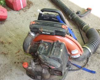 ECHO back carry gas leaf blower