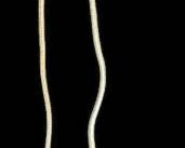 Silver Tone Chain Necklace S Pendant