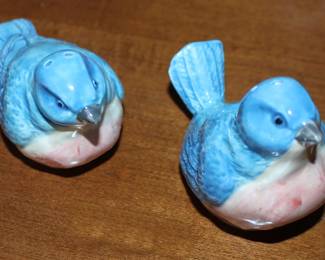 Blue Jay S P