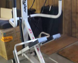 Lifestyle Stepper