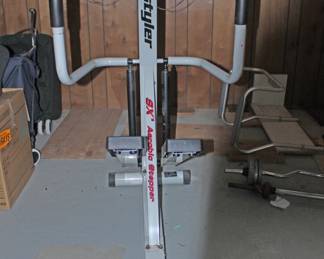 Lifestyler Exercise Stepper