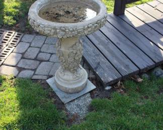 Bird Bath