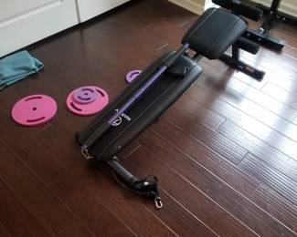 Workout bench & weights