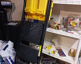 Ladder and painting supplies