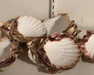 Lot 202 | Large Lot of Shells for Seafood Service Cooking