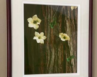 Lot 126 | Framed Dogwood Photograph Art Photography