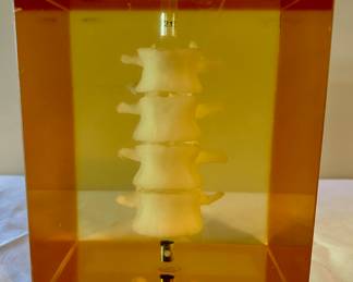 Anthropomorphic Spine Phantom from Hologic, model DPA/QDR-1.