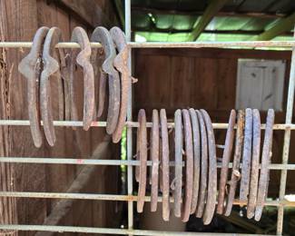 Old horseshoes