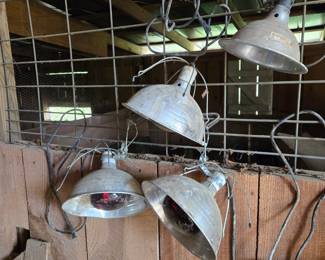 Heat lamps for chicks or animal houses