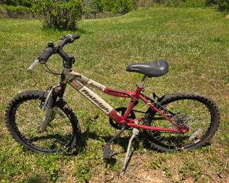 Rowdy Raleigh bike