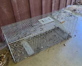 Animal Trap