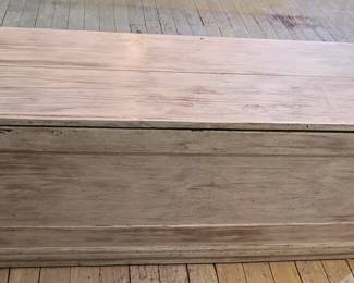 White Washed Trunk