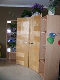 Birch Cabinet