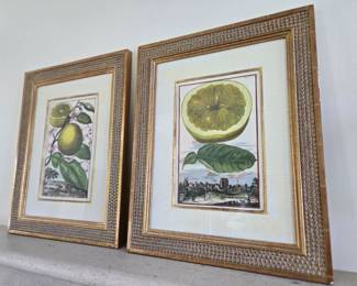 Pair Framed Botanicals $349 or bid #190