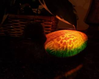 Duck lamp with light on