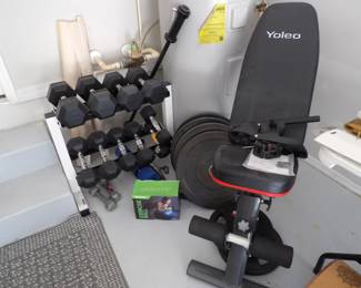 Weights and Bench
