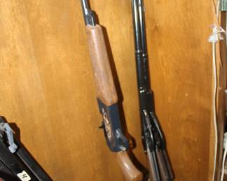 BB, pellet guns
