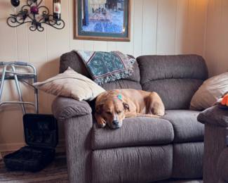 Our mascot dog Arthur, demonstrating how comfy the love-seats are. 10/10 comfy.