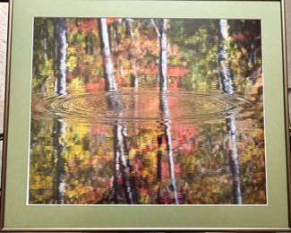 Framed nature photograph signed by Kris H. Light