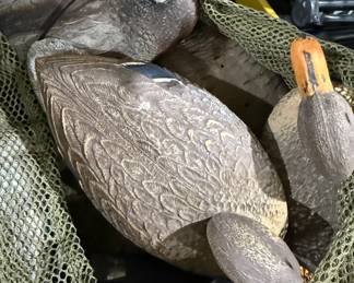 Duck decoys