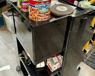 Rolling storage cart