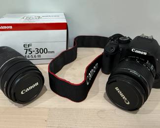 Canon EF camera with zoom lens